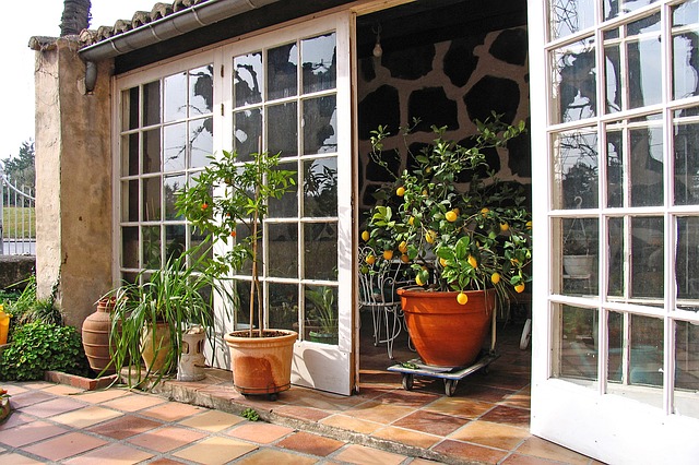 Kaltwintergarten zum Überwintern der Pflanzen